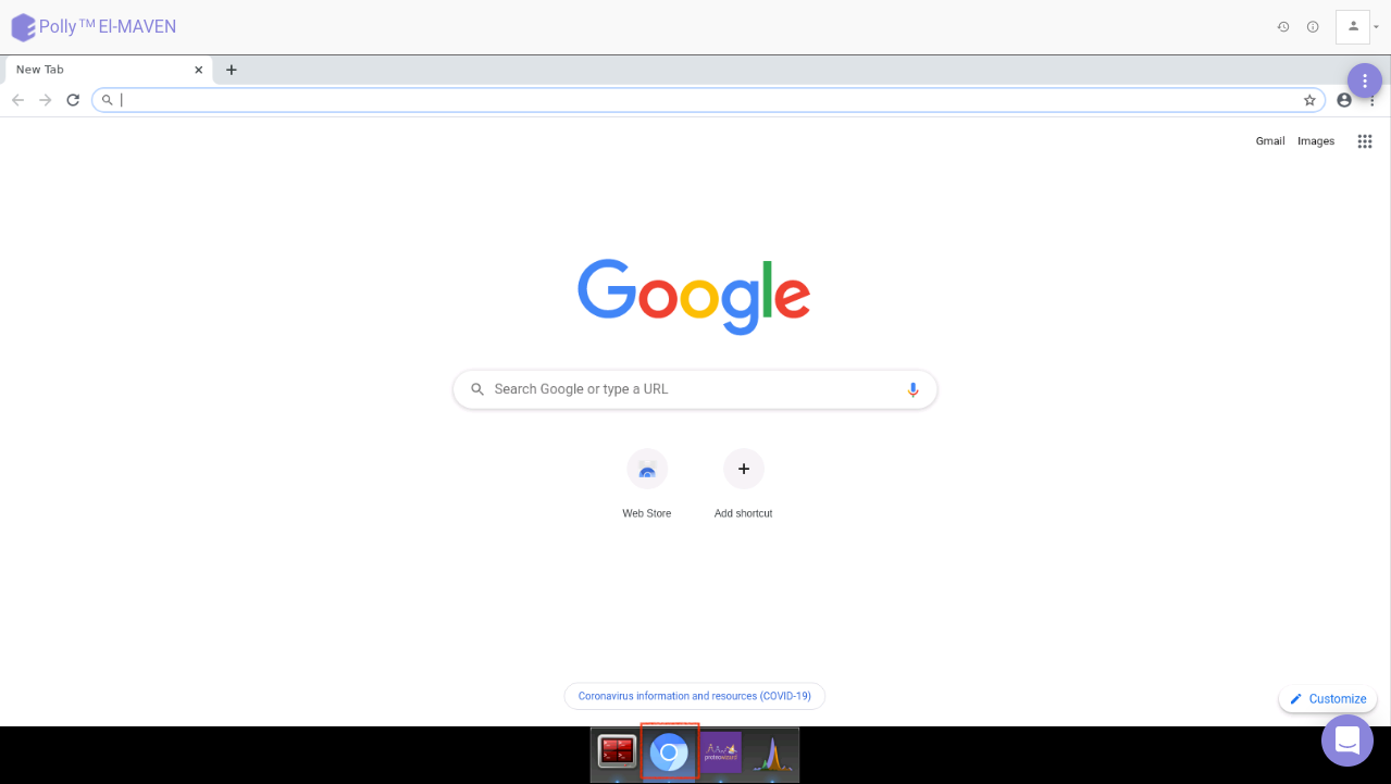 Browser