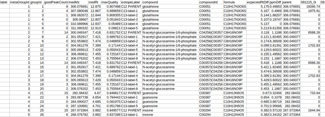 El-MAVEN output file