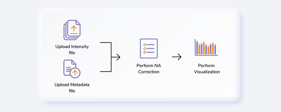 Workflow Schematic