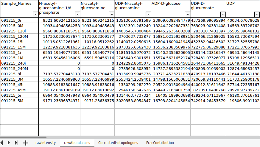 Output Workbook