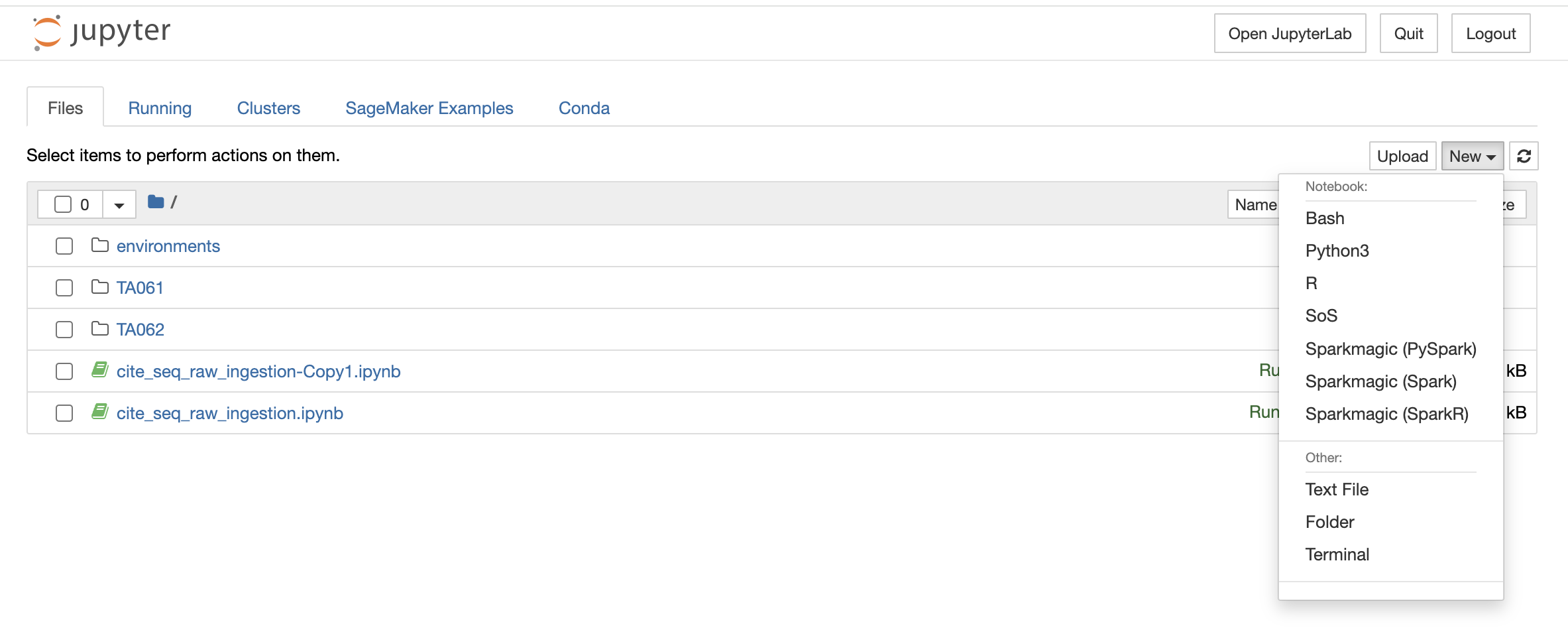 Launching a new notebook using File Explorer