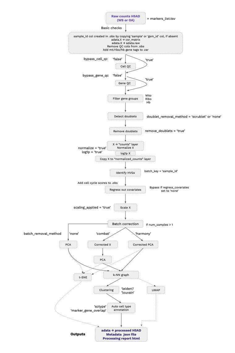 Processing Details