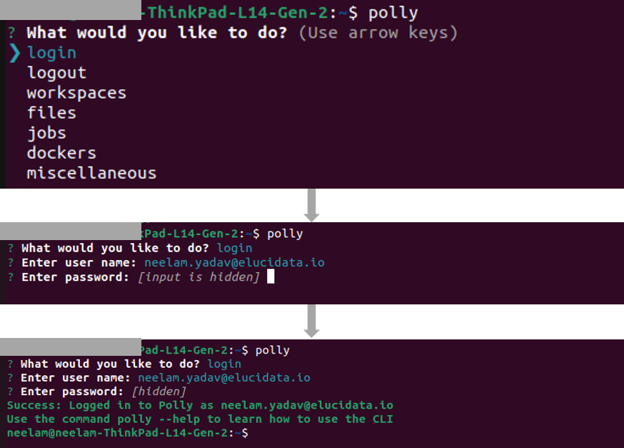 Polly Login