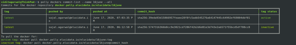 Polly Docker Commit List