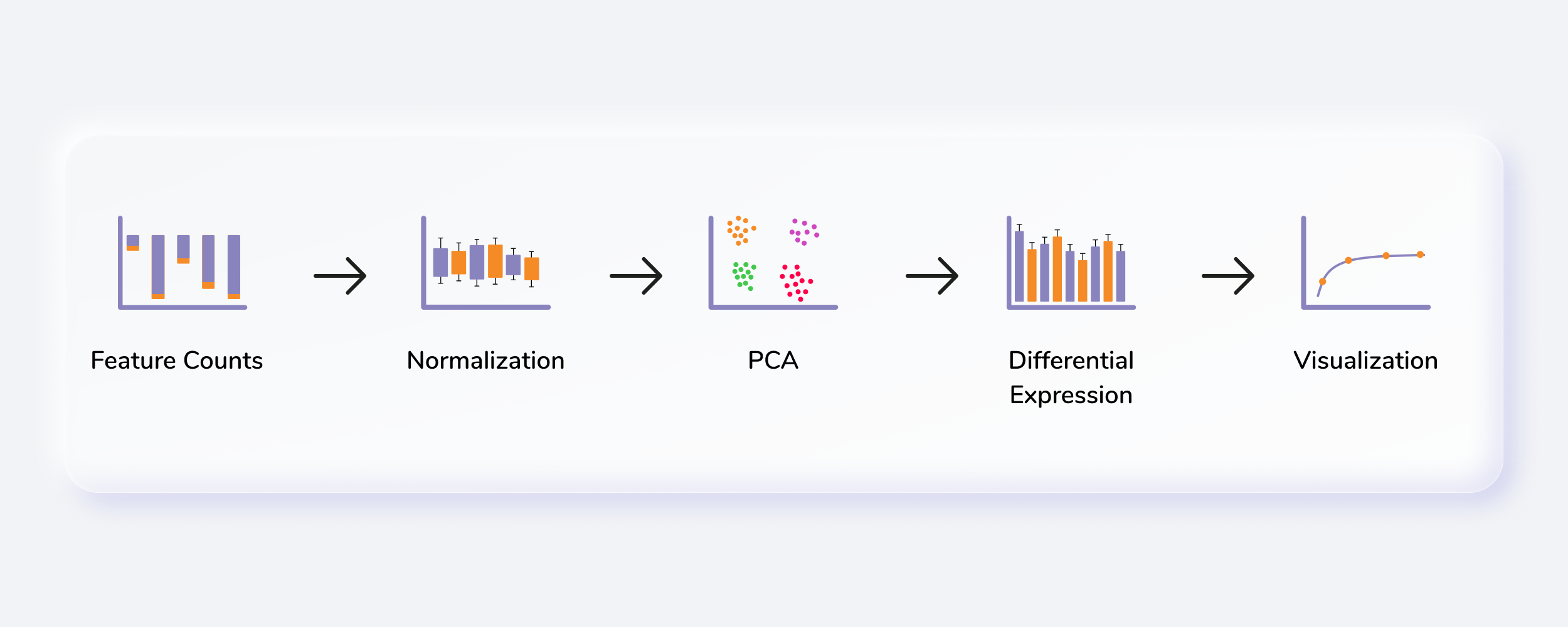 RNA Seq Workflow