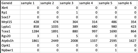 Feature counts File