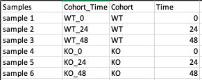 Metadata File